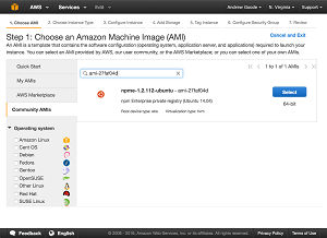 Installing the npm Enterprise AMI