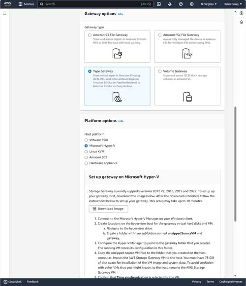 Choose the Tape Gateway option.