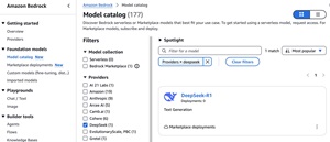 DeepSeek in Bedrock