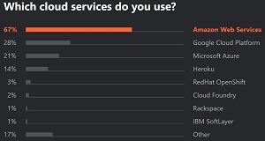 Top Cloud Services Among Developers