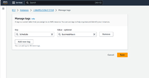 Figure 1: I am creating a tag called Schedule.