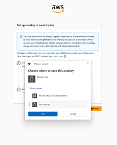 Figure 3: Choose the Security Key Option and Click Next.