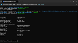 Figure 3: The Instance's Metadata Is Exposed Through PowerShell