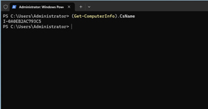 Figure 3: These Are the Commands Used to Rename the Instance Based on its Instance ID