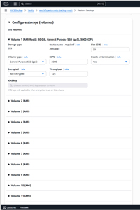 Figure 4: These Are The Storage Volume Options.