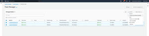 Figure 1: The Fleet Manager allows you to perform some management actions in bulk.