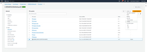Figure 4: You can use the Fleet Manager to interact directly with an instance's file system.
