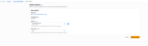 Figure 3: Select the newly created instance and an available device name.