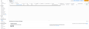 Figure 2: This is the volume that I am going to clone.
