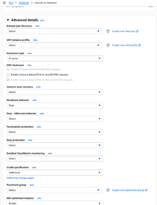 An Instance's Advanced Details Section Includes an Option for Selecting a Placement Group