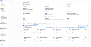 The Monitoring Tab Charts the Instance's Performance
