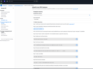 Figure 5: Select the instance that you want to attach the storage to.