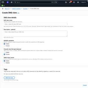Figure 2: You Can Use This Screen to Create a DNS View.