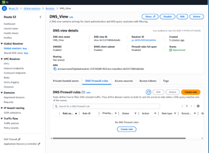 Figure 4: Click the Share Button to Share the DNS View.